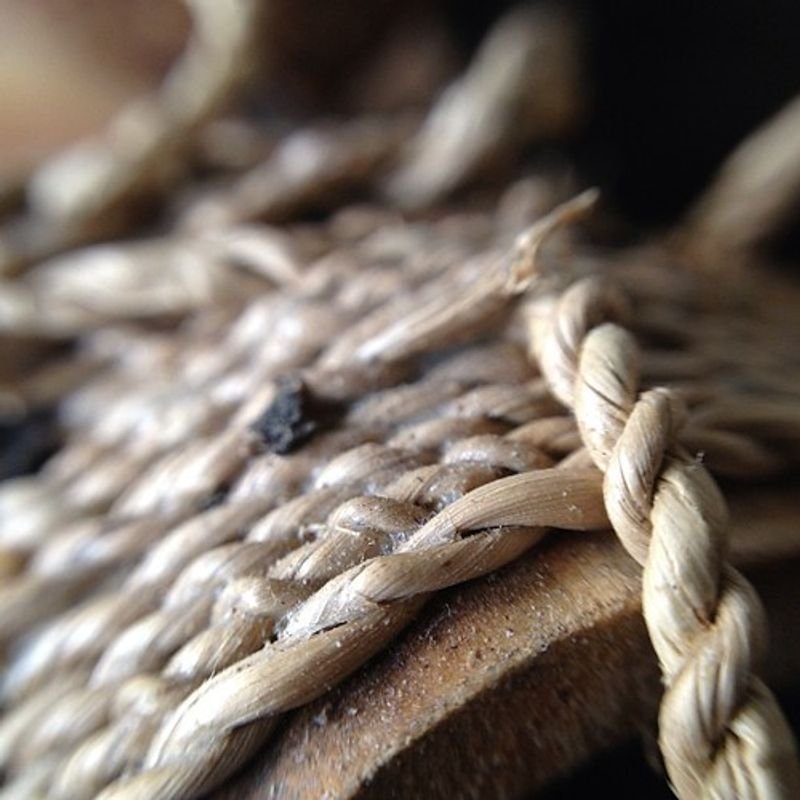 resources of Animals Rattan Webbing exporters