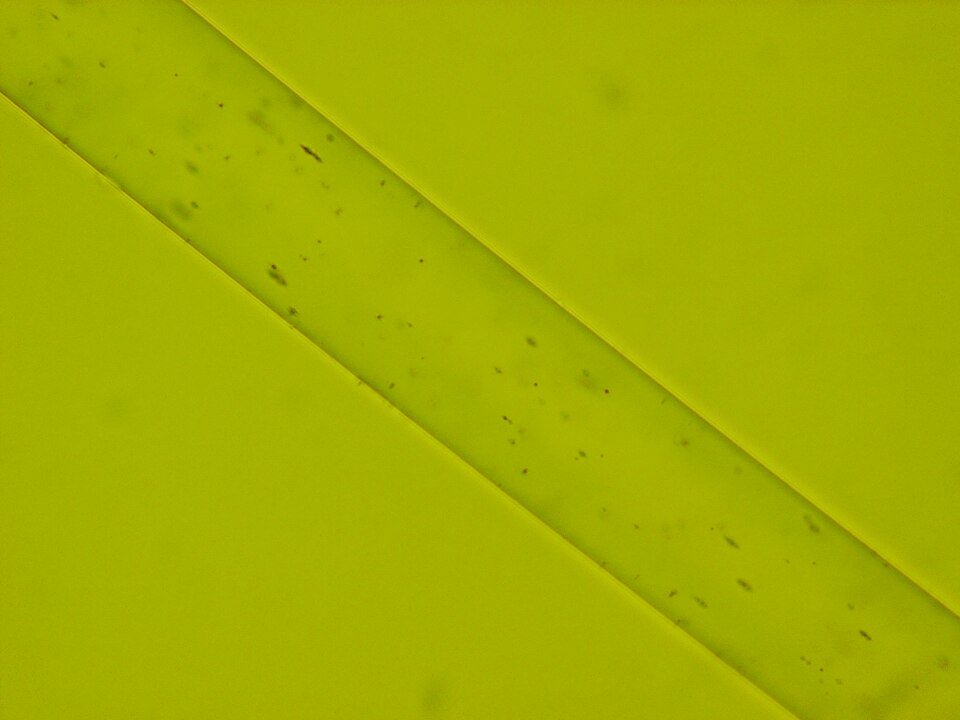 resources of Acid yellow exporters