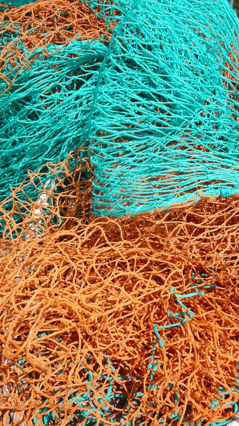 resources of Nylon/ Polyester Fishing Net exporters