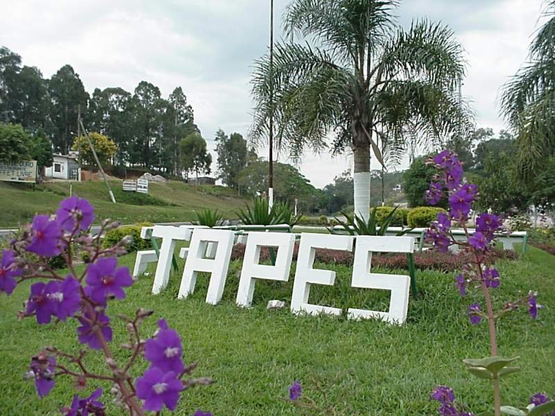 Tapes Exporters, Wholesaler & Manufacturer | Globaltradeplaza.com
