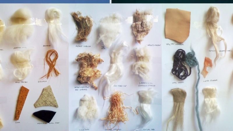 resources of Natural casings exporters