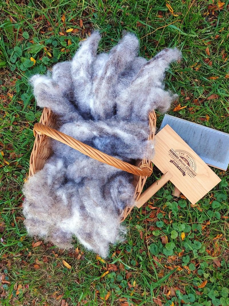 resources of Wet salted sheepskins exporters