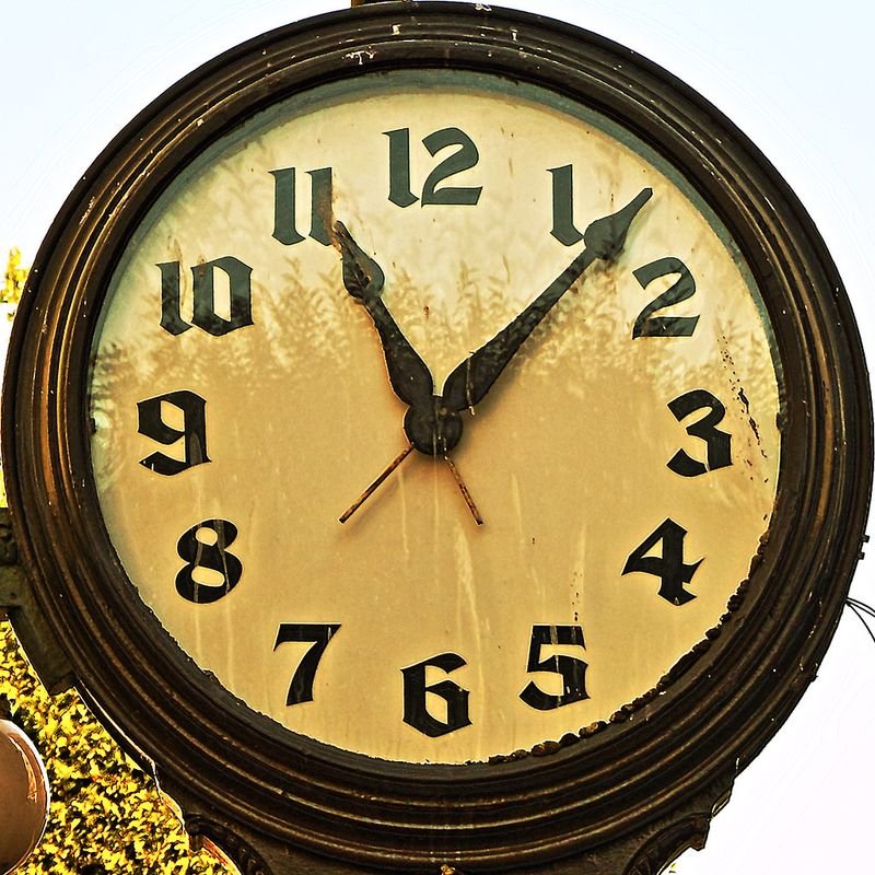 resources of Metal and Olive Wooden Wall Clock, Moss Wall Clock, Moss Wall Art, Moss Art With Wood, New Home Gift, Preserved Stabilized Moss exporters