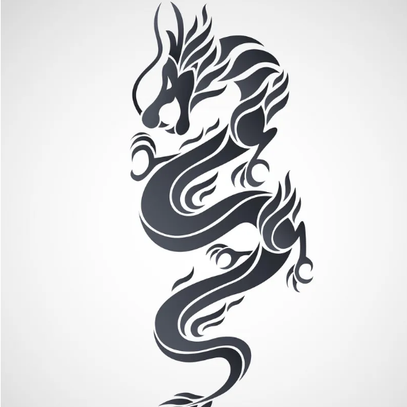 HK dragon speed international ltd