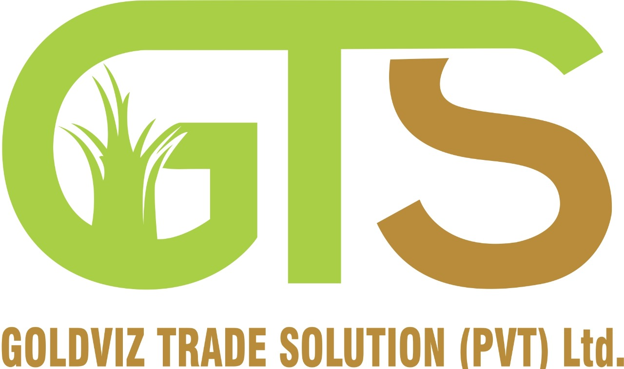Goldviz Trade Solutions Private Limited