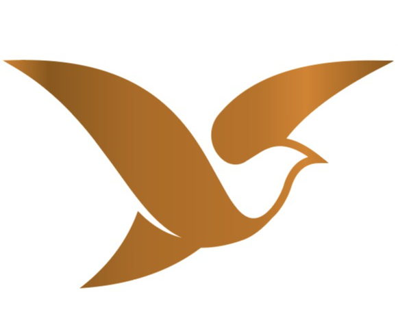 Goldfield Healthcare
