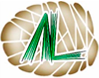 Larix LLC