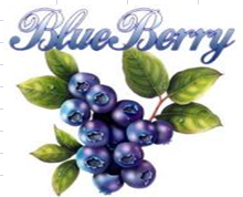 BLUEBERRY EXPORTS LTD.