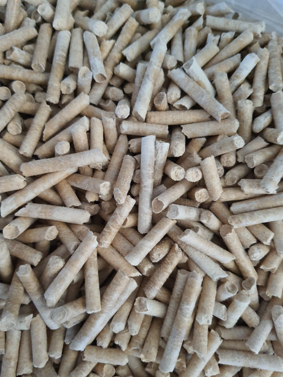 Pino