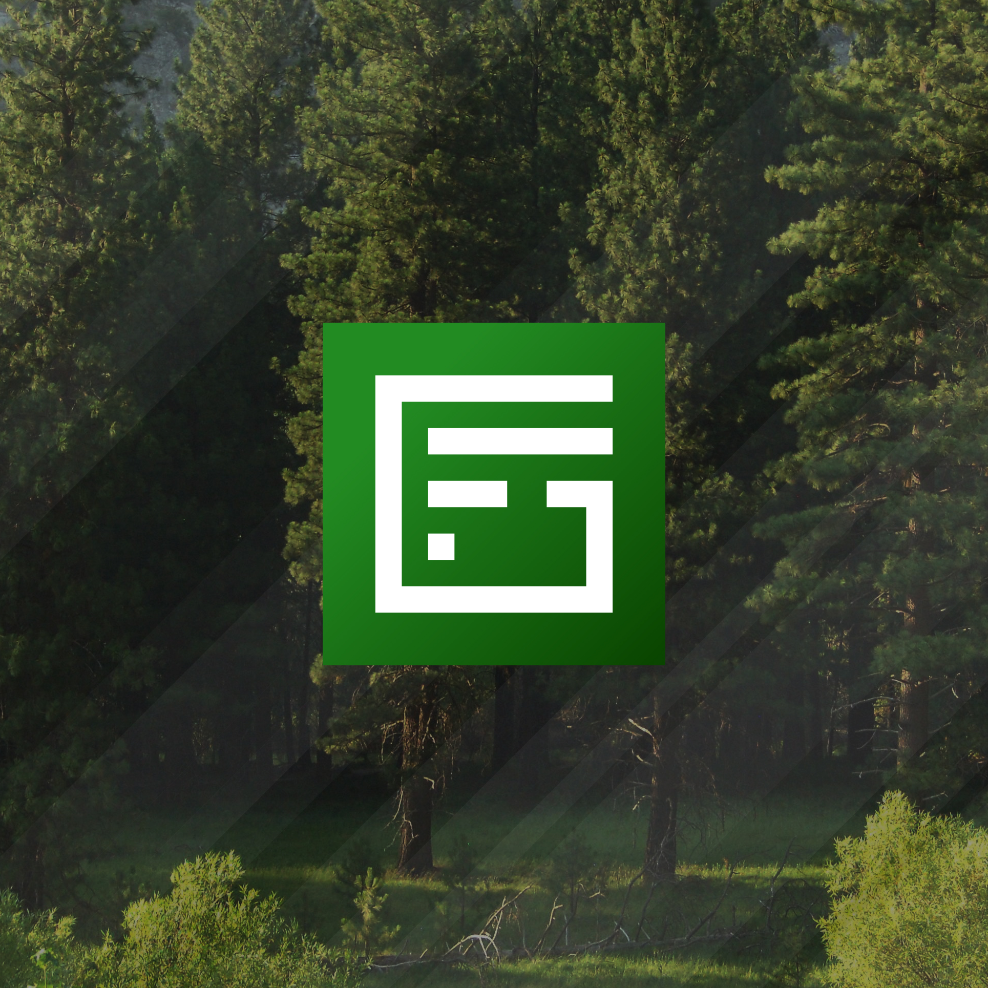 Форест-групп