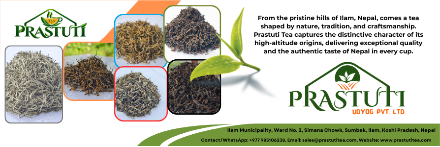 company-banner
