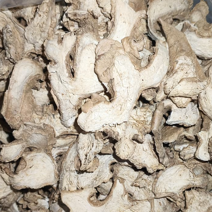 resources of Indonesian Elephant Slice Dried Ginger exporters