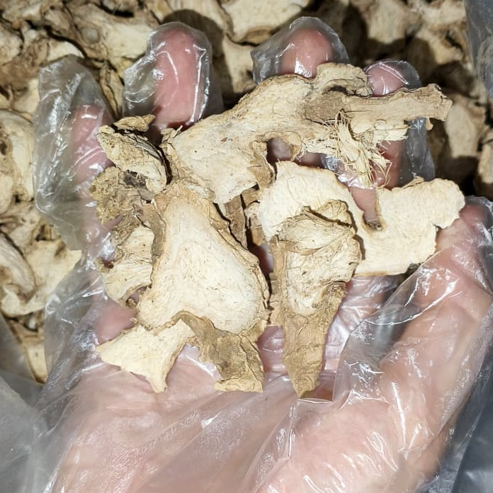 resources of Indonesian Elephant Slice Dried Ginger exporters
