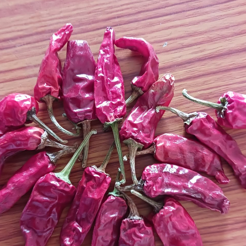resources of Dried Red Chilli Teja S17 – Stemless exporters