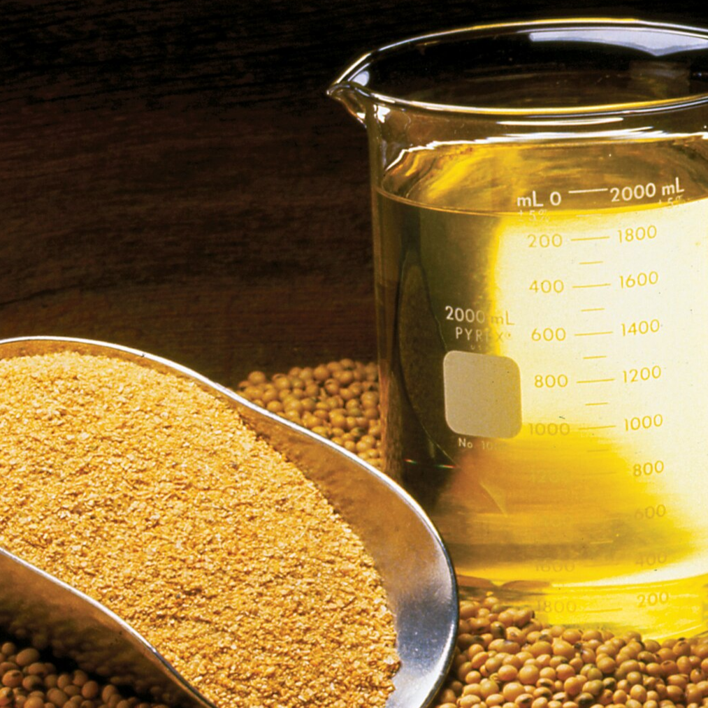 resources of Refined Soybean Oil – Food Grade exporters
