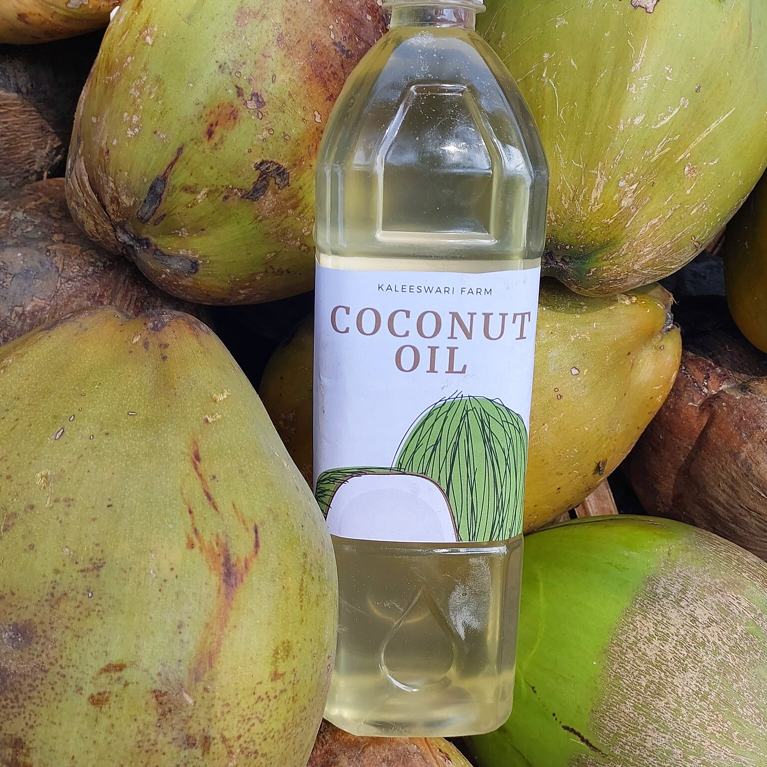 resources of Virgin Coconut Oil – Cold Pressed exporters