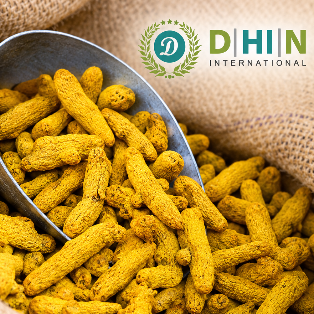 resources of turmeric finger manufacturer, supplier, and exporter from india - DHN ONTERNATIONAL exporters