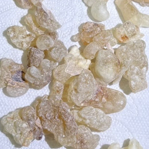 resources of Premium Omani Hojari Frankincense Resin – LOBANETA exporters