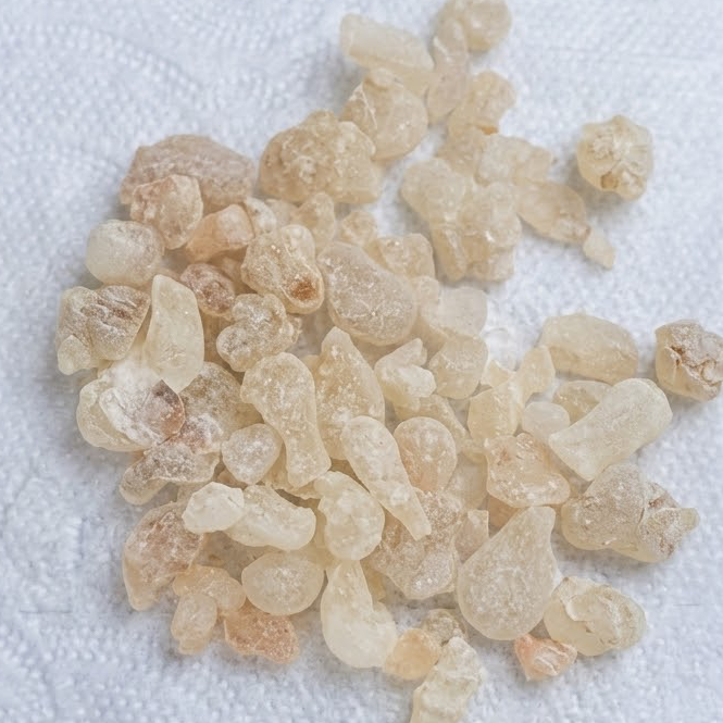 resources of Premium Omani Hojari Frankincense Resin – LOBANETA exporters