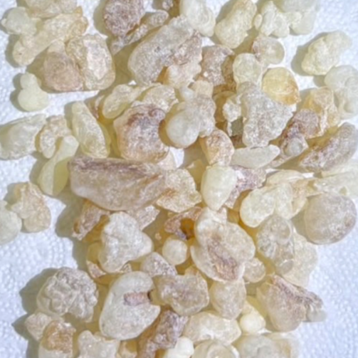 resources of Premium Omani Hojari Frankincense Resin – LOBANETA exporters