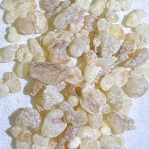 resources of Premium Omani Hojari Frankincense Resin – LOBANETA exporters