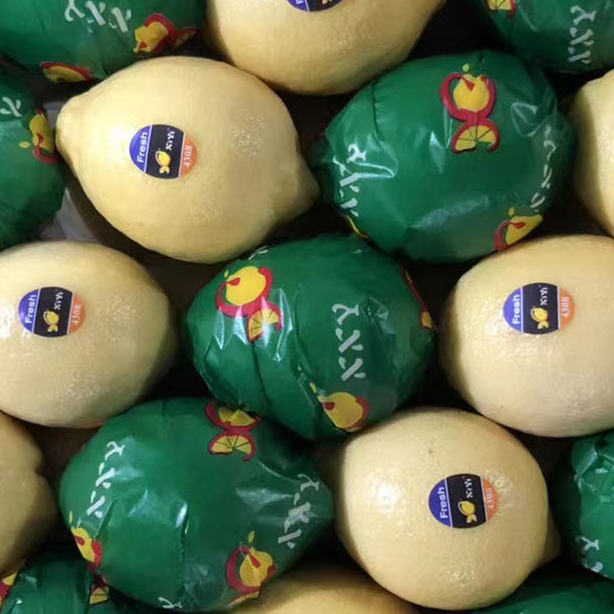 resources of Fresh Chinese Eureka Lemon, High Quality Fresh Lemon exporters
