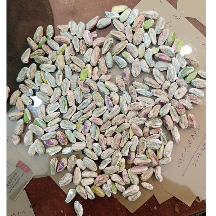 resources of Raw Shelled Pistachio Kernels (specifically featuring a light-skinned, whole raw kernel grade) exporters