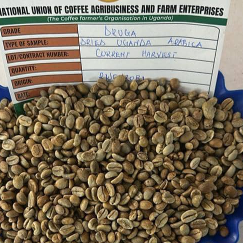 resources of Quality and Container Inspection Limited-Uganda exporters