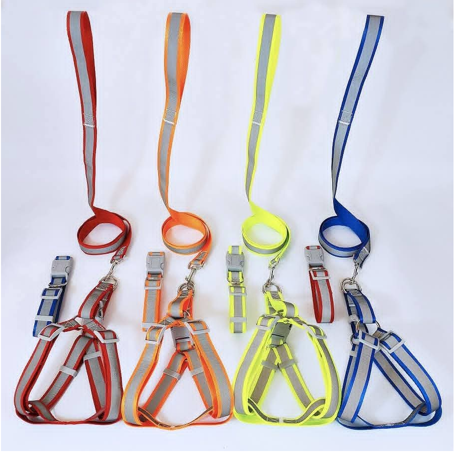 resources of Reflective Nylon Dog Leash with Padded Handle exporters