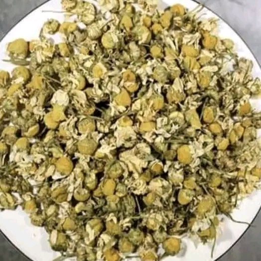 resources of Egypt chamomile dried flowers exporters resources of Egypt chamomile dried flowers exporters