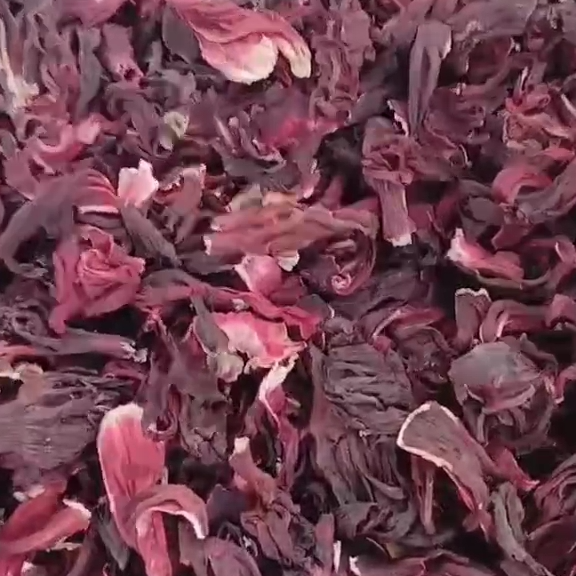 resources of Dried Egypt hibiscus exporters
