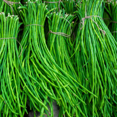 resources of Long bean exporters