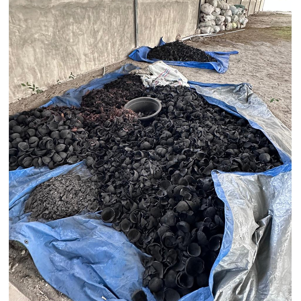 resources of coconut charcoal High Grade exporters