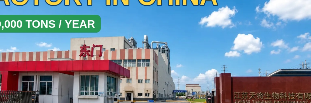 company-banner