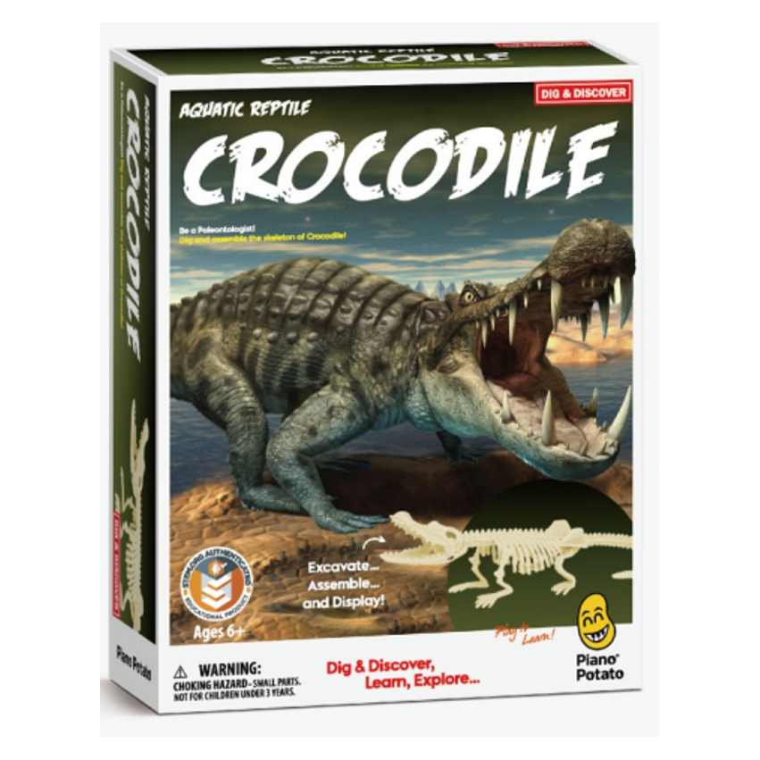 resources of Dig and Discover Crocodile Kit - SAP 10700039 exporters