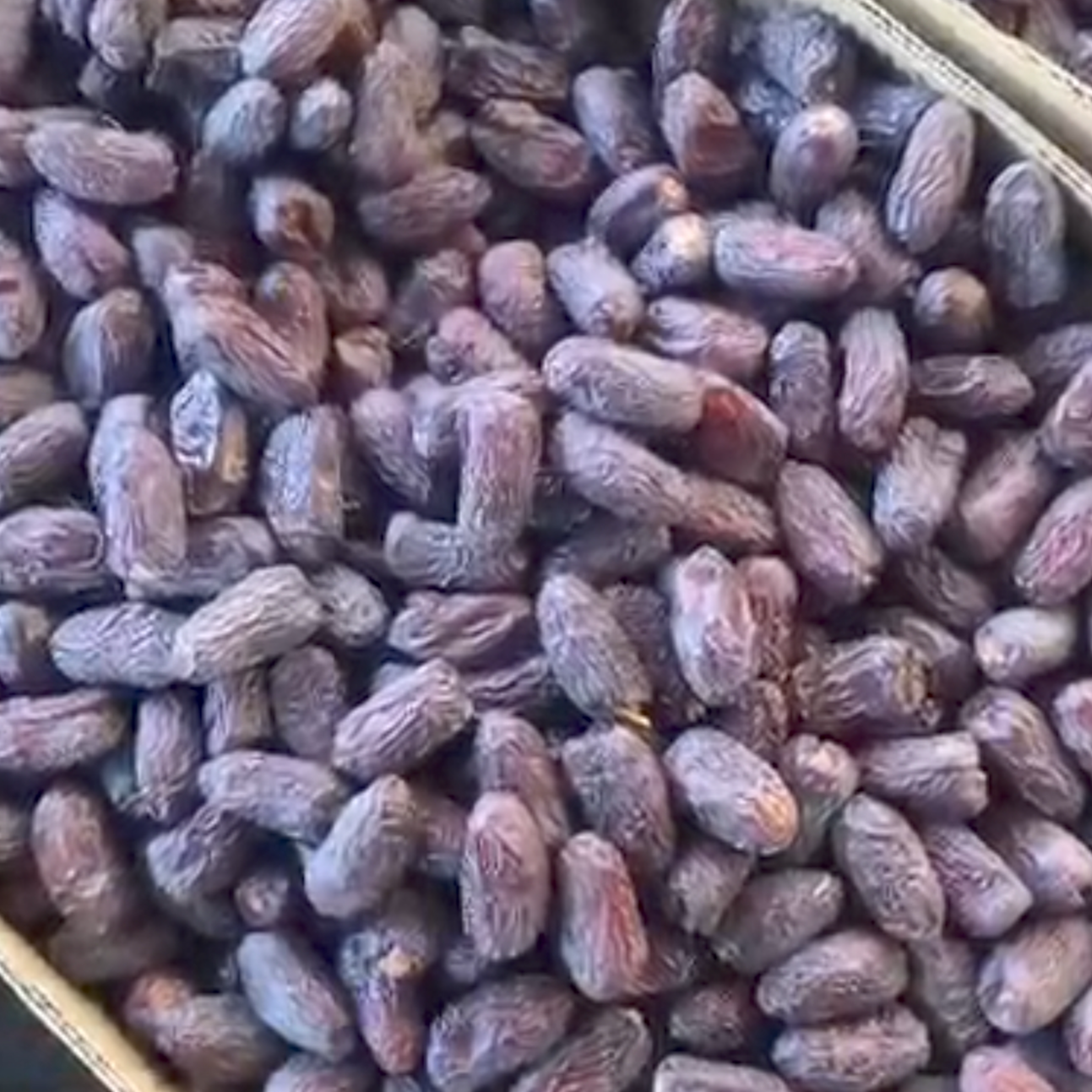 resources of Dates exporters