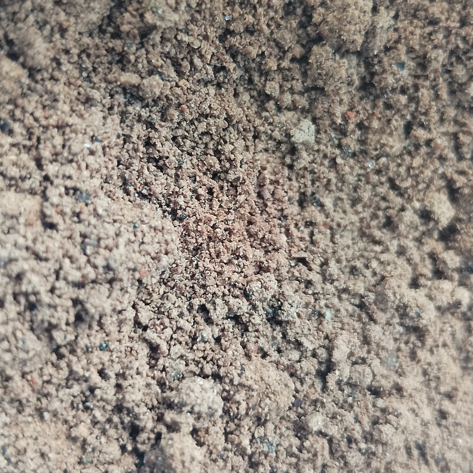 resources of Shea Cake - Animal Feed Cake / Shea Nut Meal for Ruminants and Poultry Feed exporters