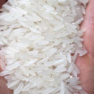 resources of Premium Jasmine Rice and Long Grain White Rice exporters