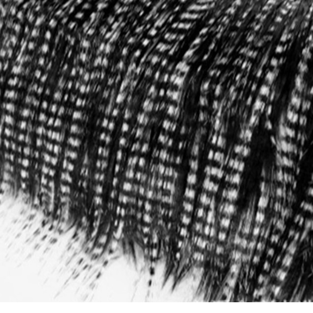 resources of FAUX FUR FABRICS exporters