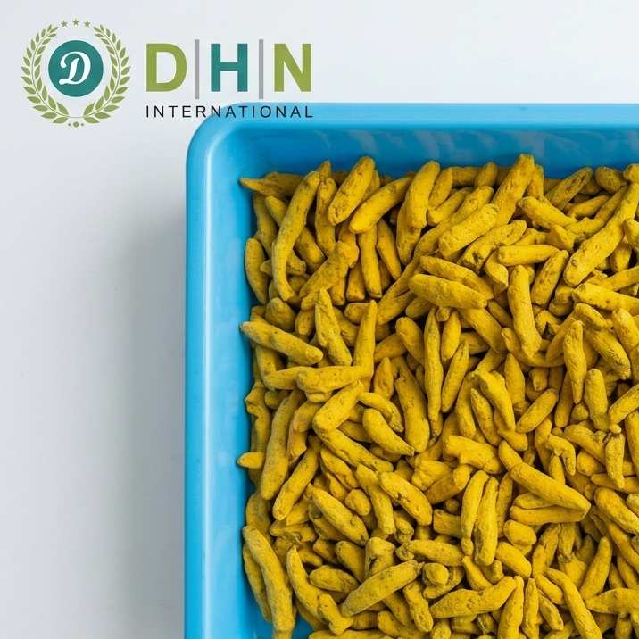 resources of turmeric finger manufacturer, supplier, and exporter from india - DHN ONTERNATIONAL exporters