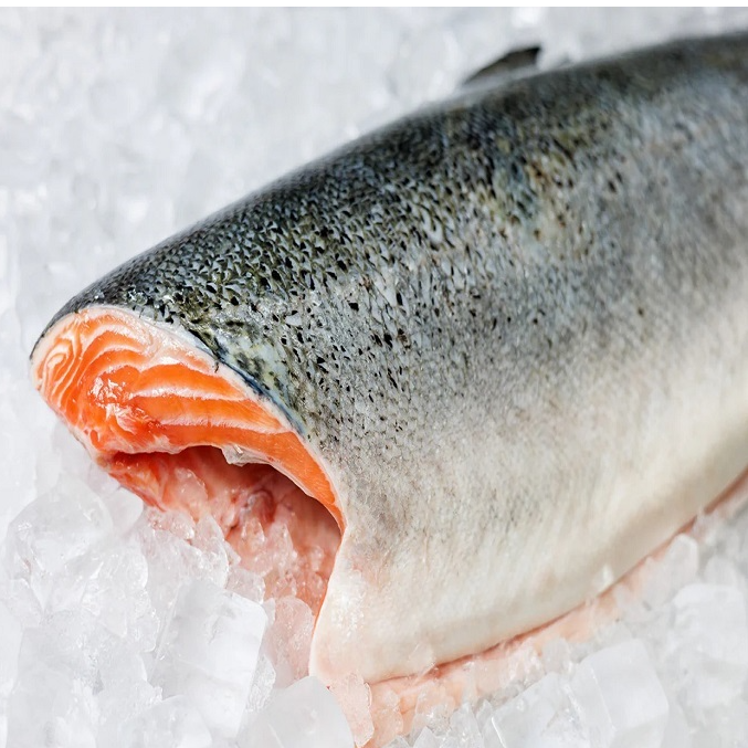 resources of High Quality Fresh Salmon Fish Natural King Seafood Whole BQF Frozen 10kg Bulk Packaging Low-Fat Long Shelf Life exporters