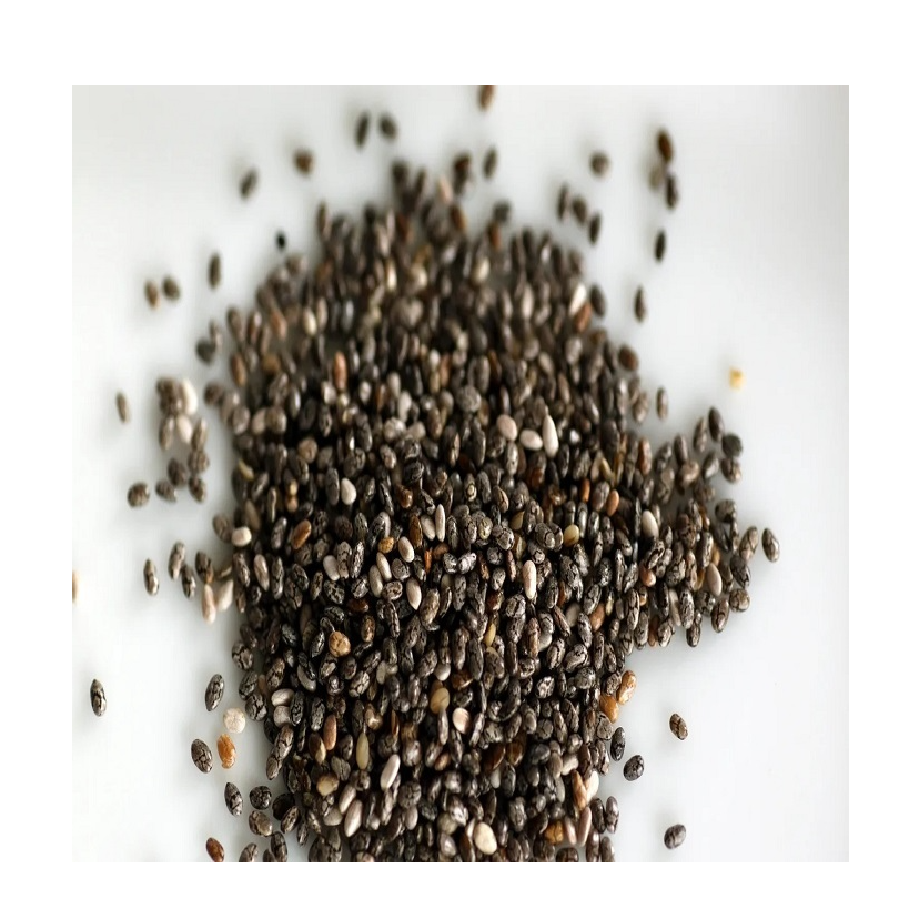 resources of Cleaned Black Chia Seed Bulk Price | Premium Quality Raw Wholesale Chia Seed with OEM/ODM Service and 2 Year Shelf Life exporters