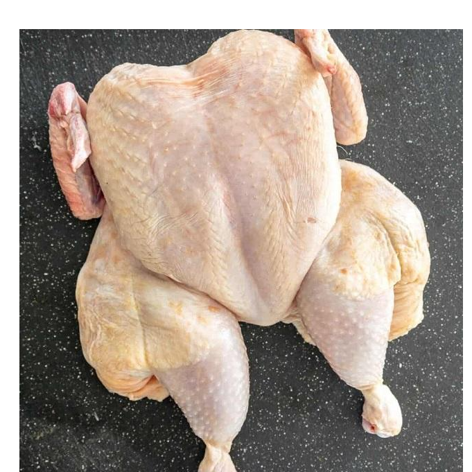 resources of Good Price Low Fat Frozen Whole Chicken For Sale Whole Frozen Chicken exporters