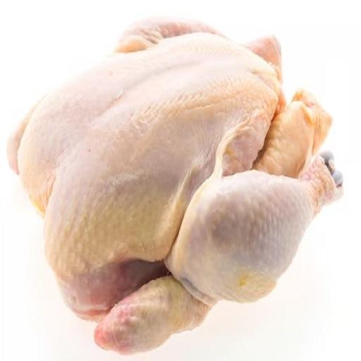 resources of Good Price Low Fat Frozen Whole Chicken For Sale Whole Frozen Chicken exporters