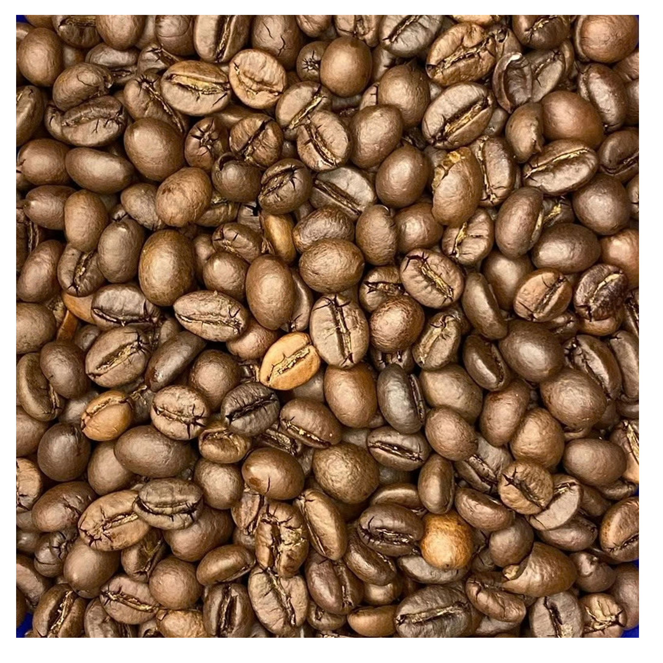 resources of Robusta Honey exporters