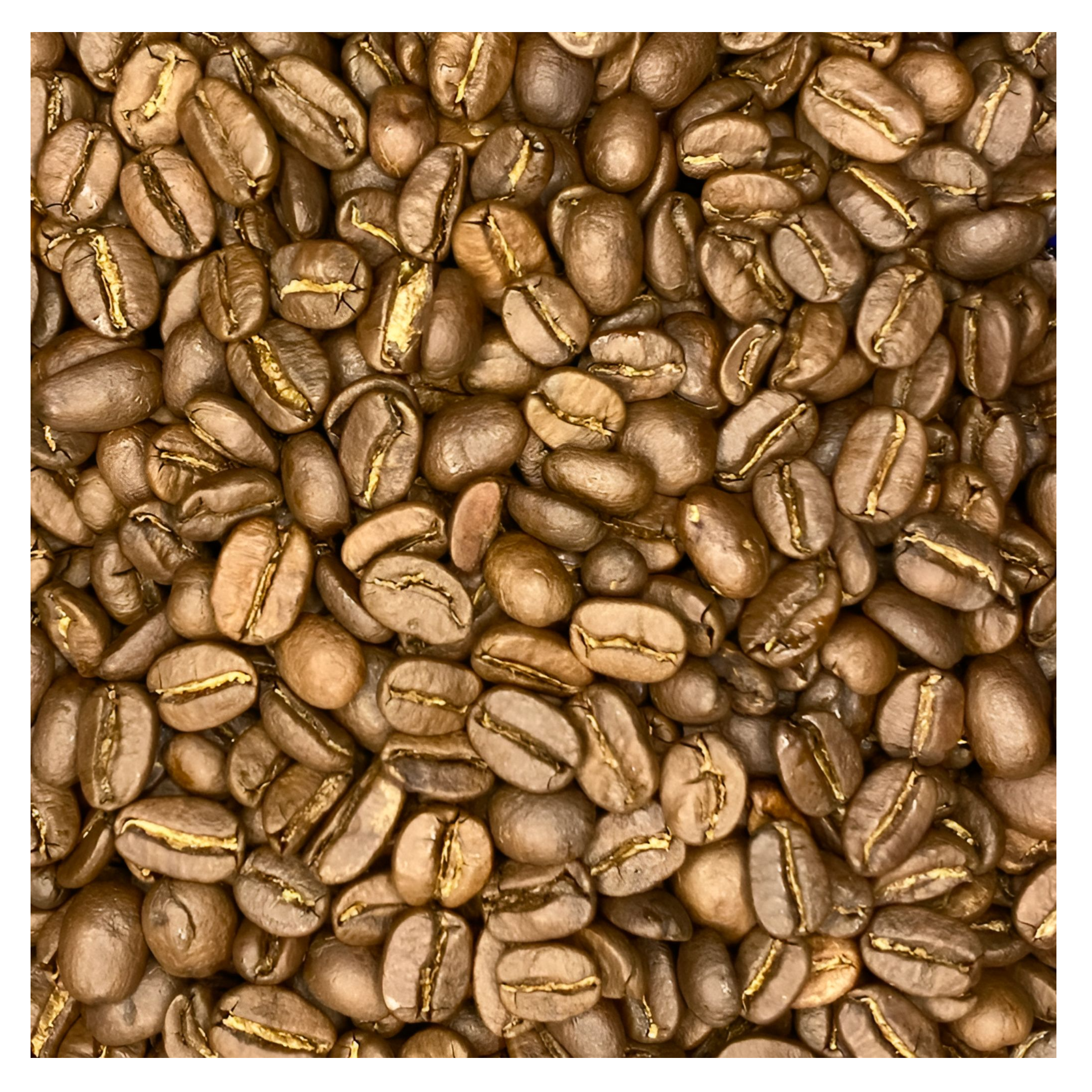 resources of Arabica Cau Dat S18 exporters