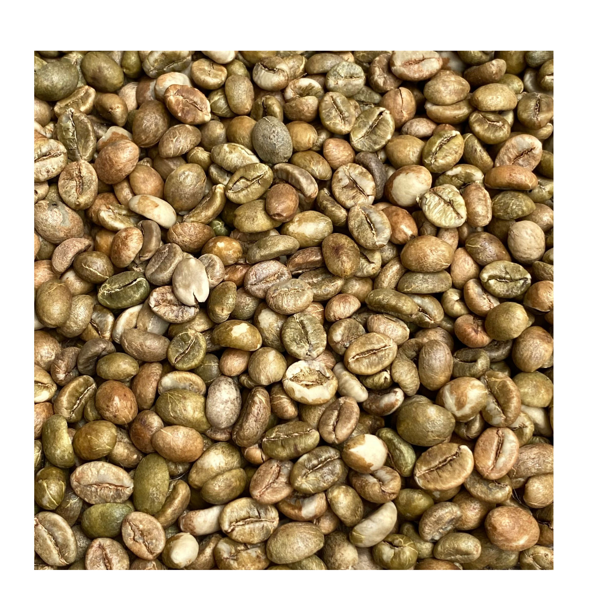 resources of Robusta S18 Green Bean Coffee exporters