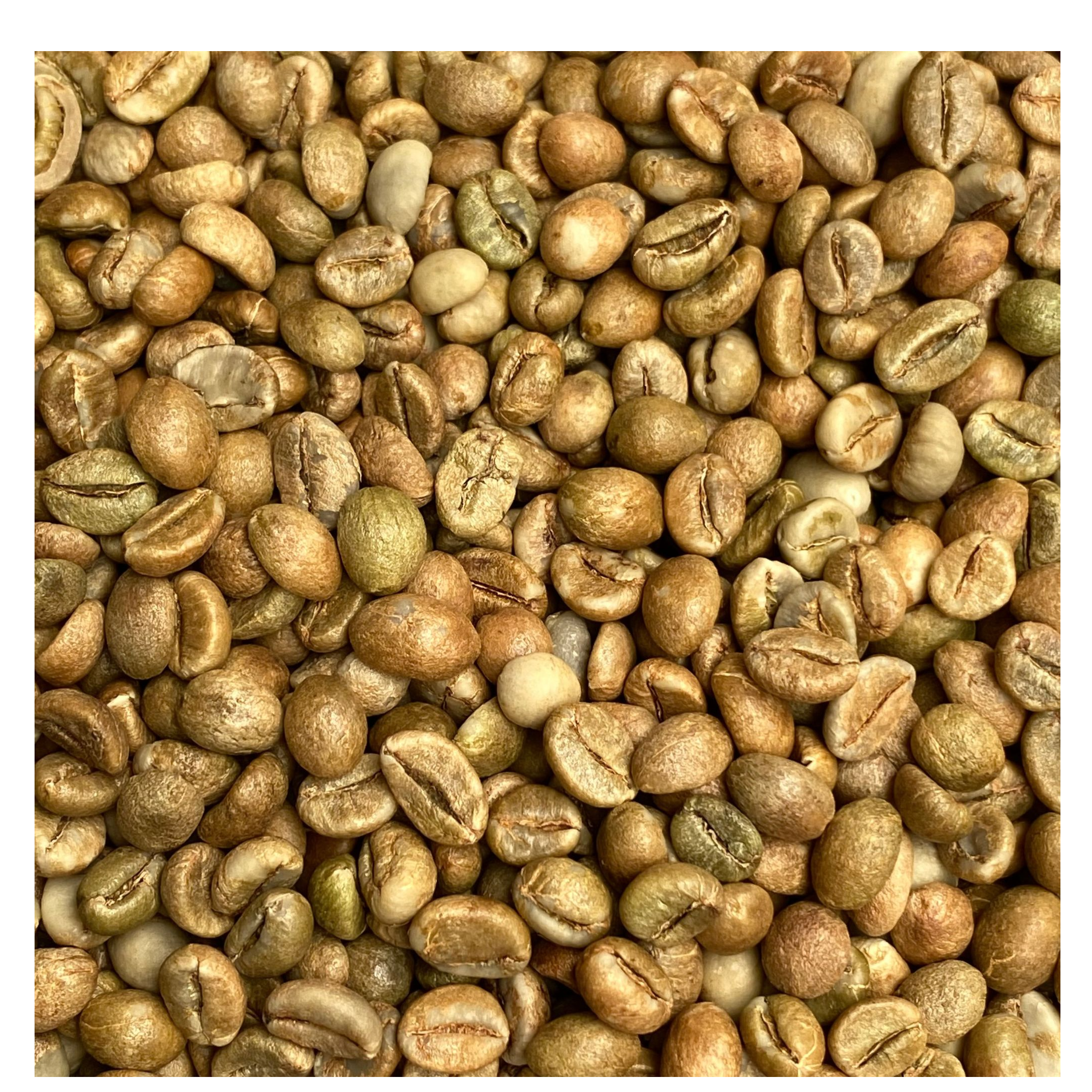 resources of Robusta Honey Green Bean Coffee exporters