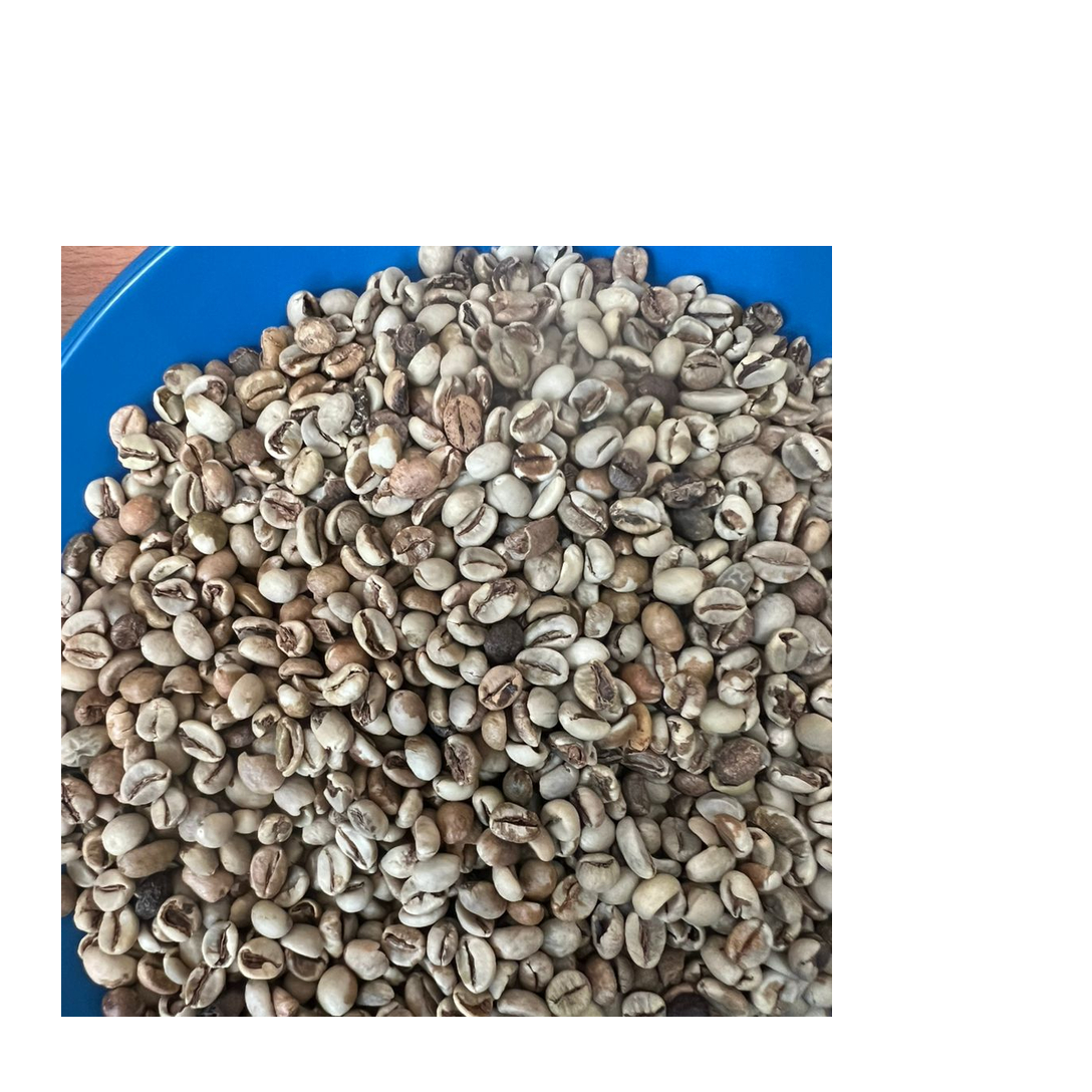 resources of Quality & Container Inspection Ltd exporters