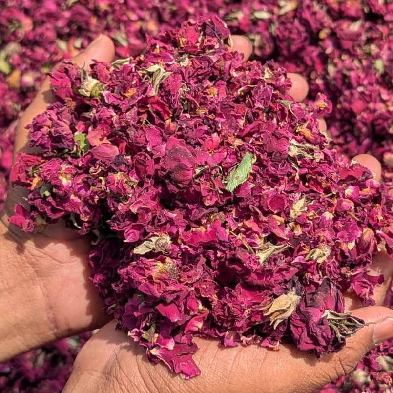 resources of SAQLAIN FLOWERS  PRIVATE LIMITED exporters
